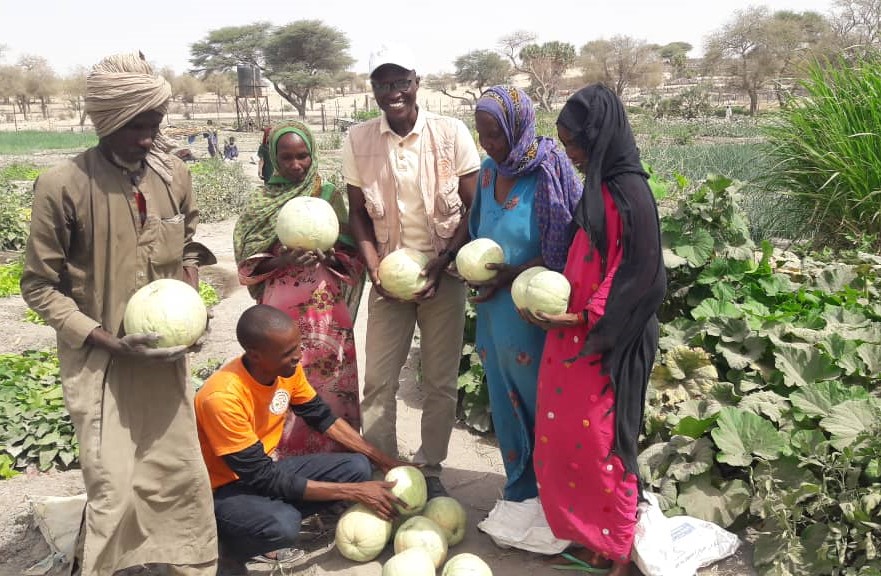 Recolte des produits maraichers au BEG